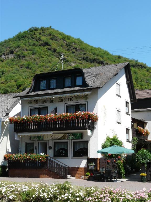 Pension / Ferienwohnungen Scheid Kestert Экстерьер фото